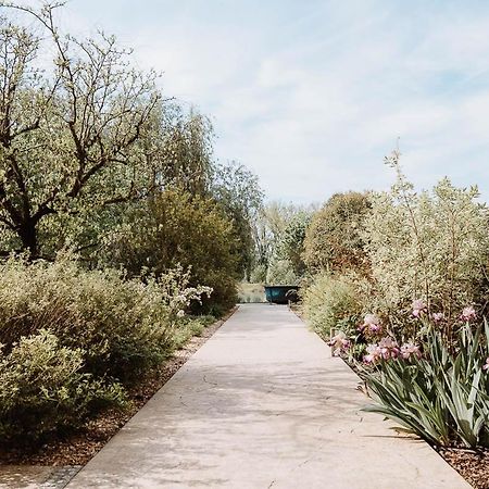 Ca' Del Sile Bed & Breakfast Morgano Bagian luar foto