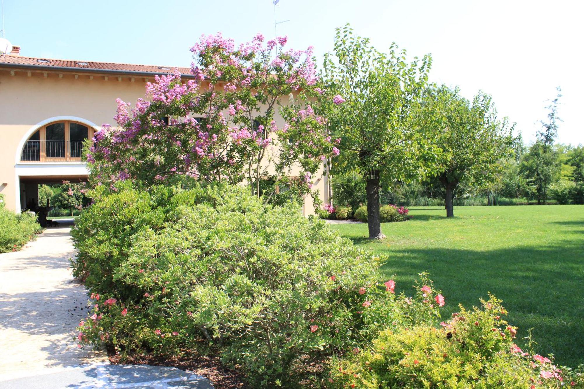 Ca' Del Sile Bed & Breakfast Morgano Ruang foto