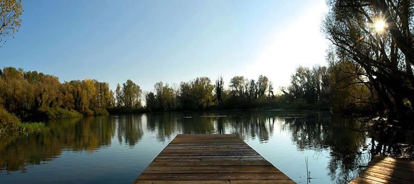 Ca' Del Sile Bed & Breakfast Morgano Bagian luar foto